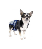 Poochpad Poochpants Reusable Diaper